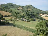The Apartment In Summer - In the distance 